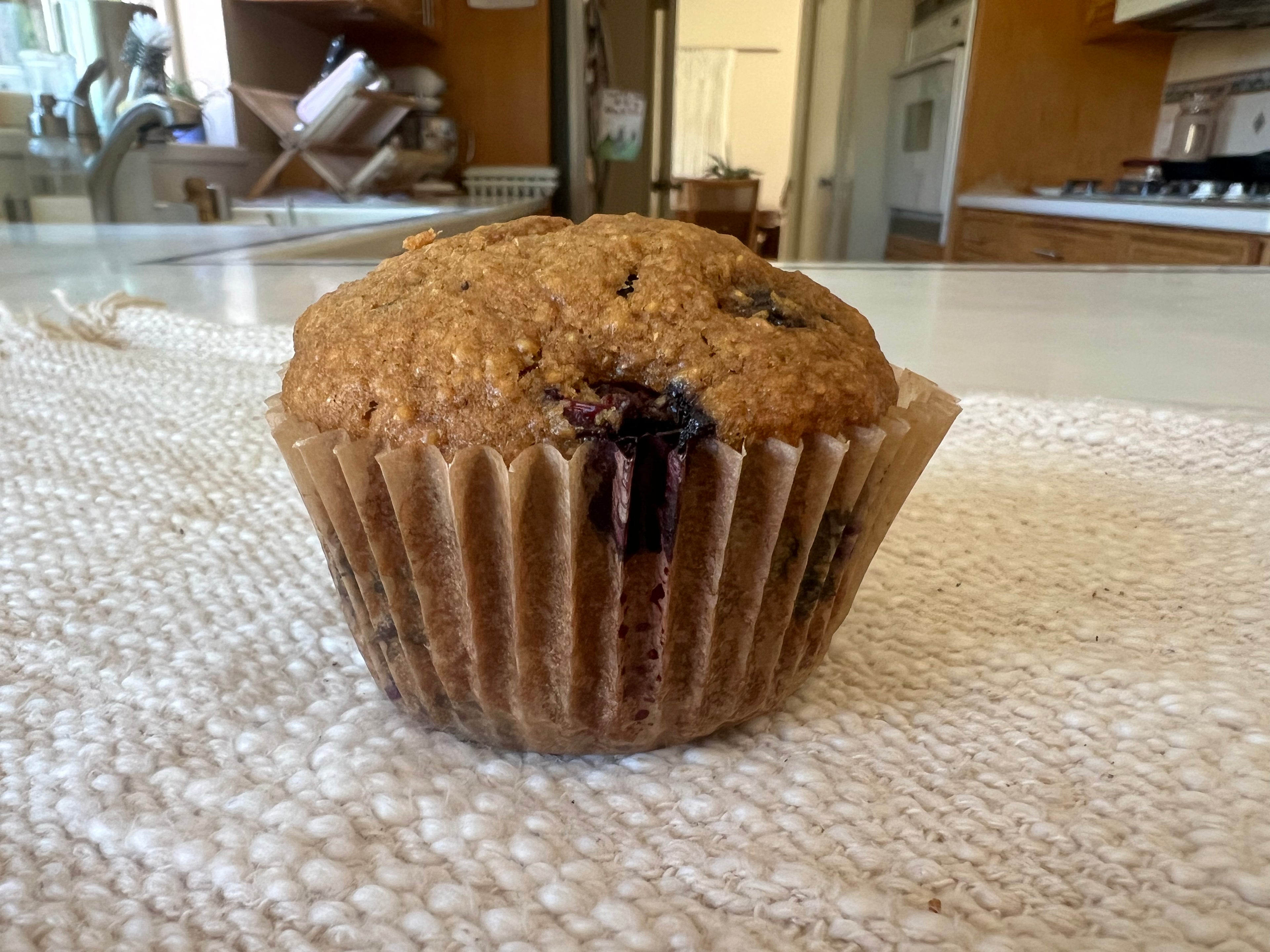 Organic Sprouted Fresh Milled Blueberry Muffins