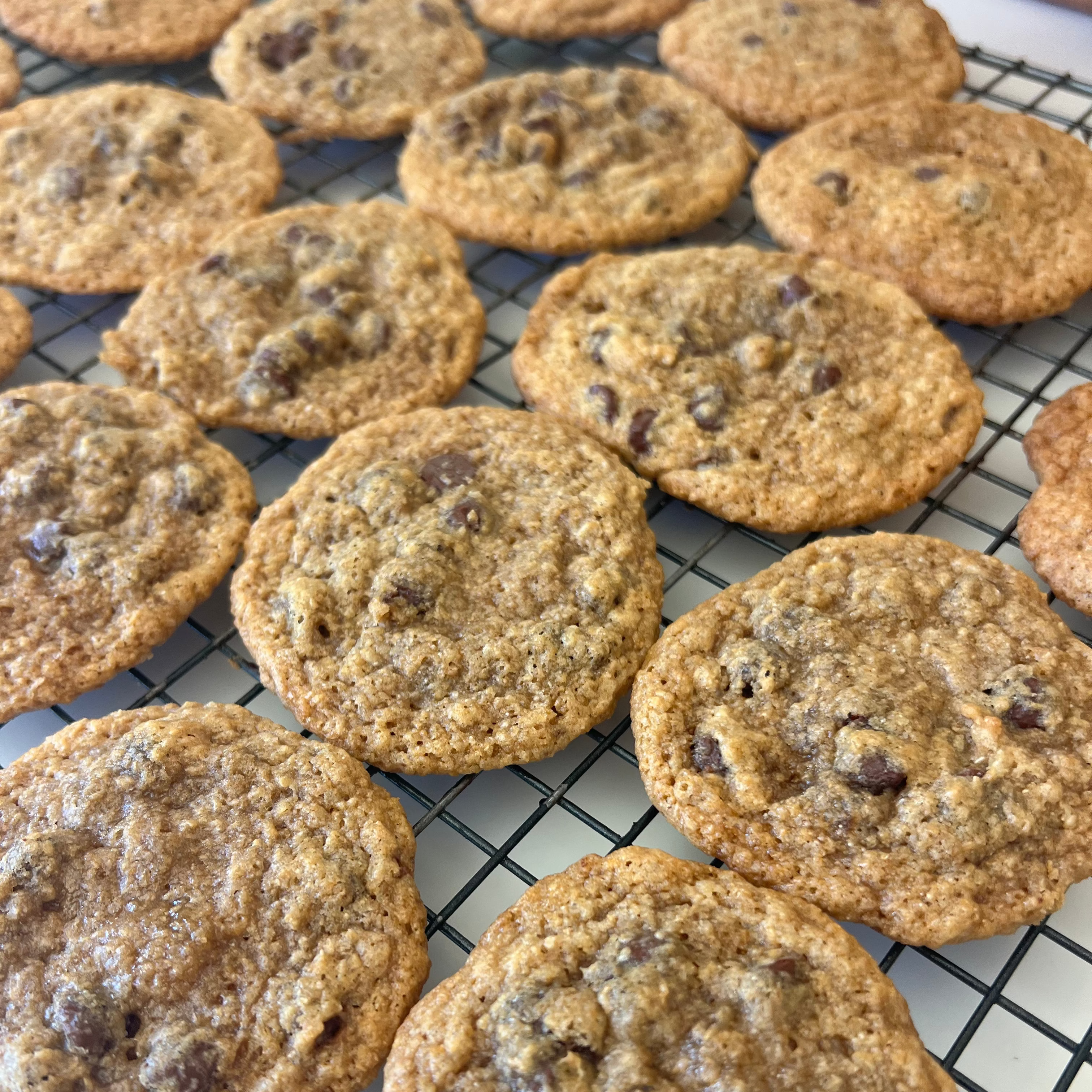 Sprouted Chocolate Chip Cookies